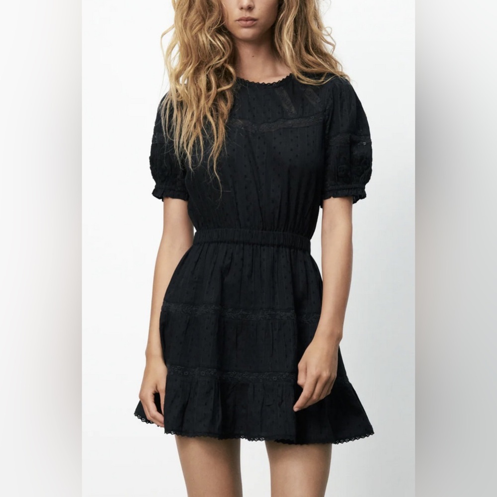 Zara Swiss Dot Dress with Embroidery (Large)